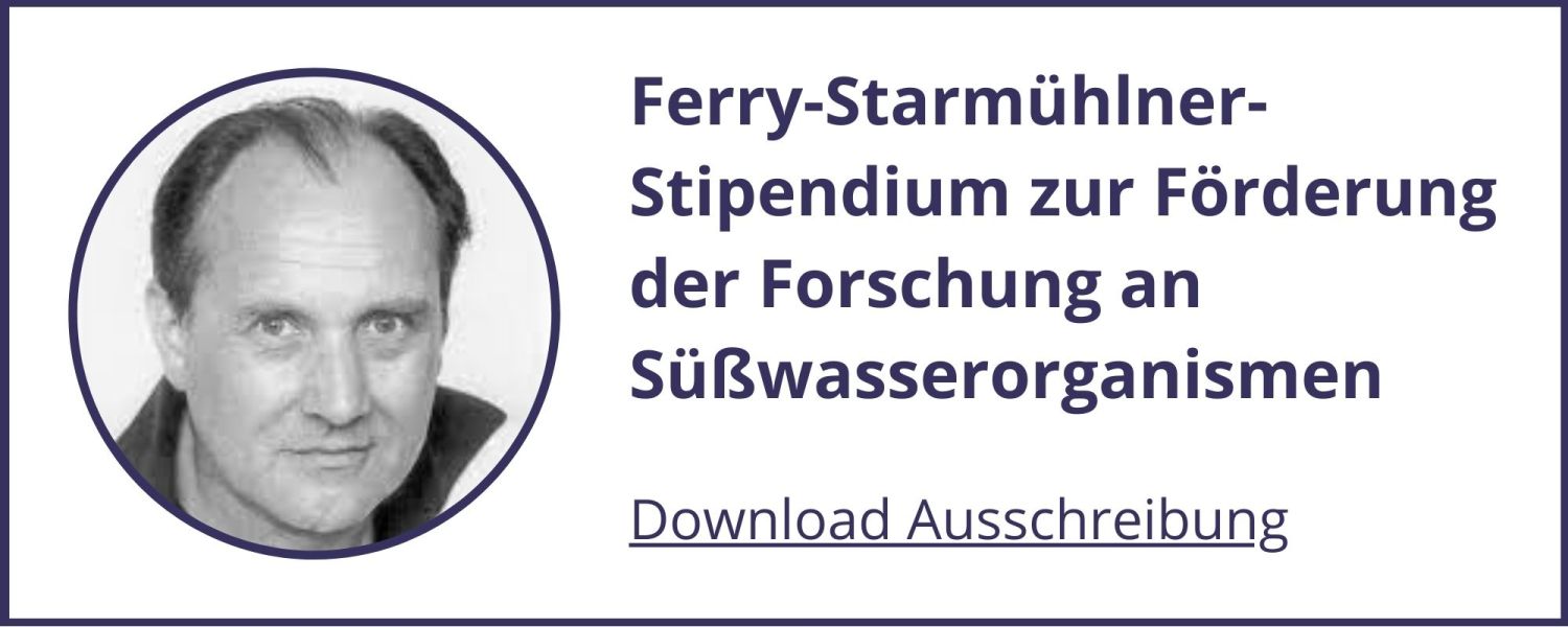Ferdinand Starmühlner Preis Ausschreibung