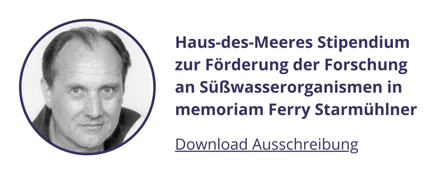 Ferdinand Starmühlner Preis Ausschreibung