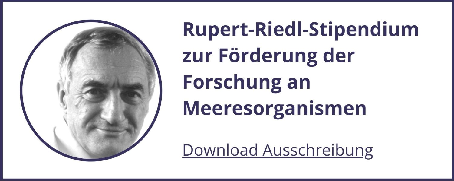 Rupert Riedl Preis Ausschreibung