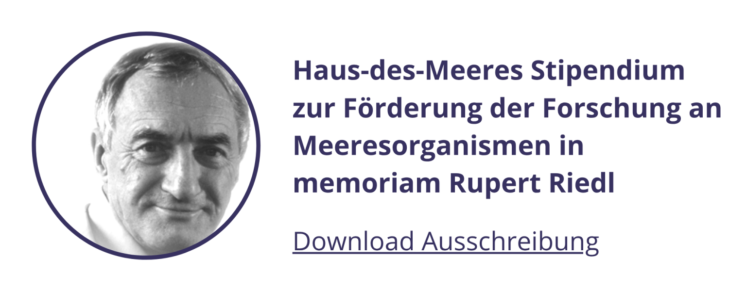 Rupert Riedl Preis Ausschreibung